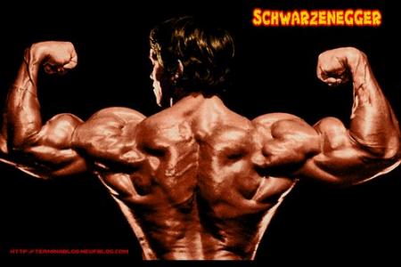 arnold